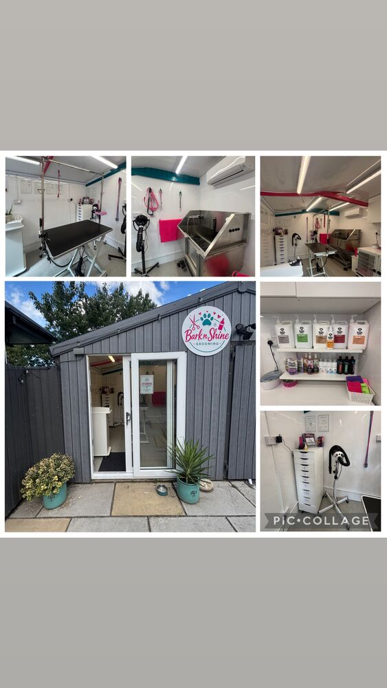 Bark n Shine Grooming