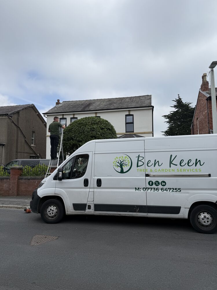 Ben Keen Gardening